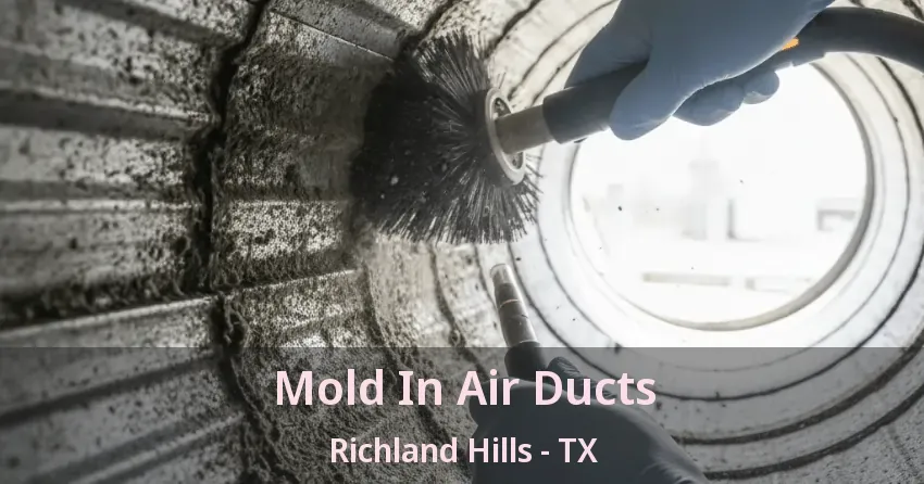 Mold In Air Ducts Richland Hills - TX