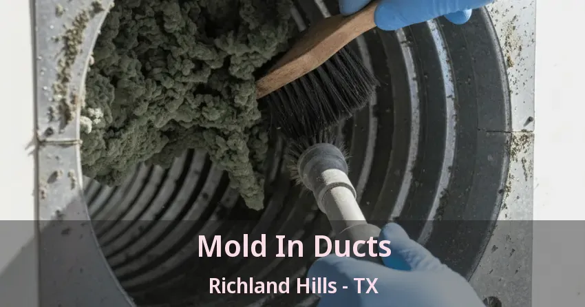 Mold In Ducts Richland Hills - TX