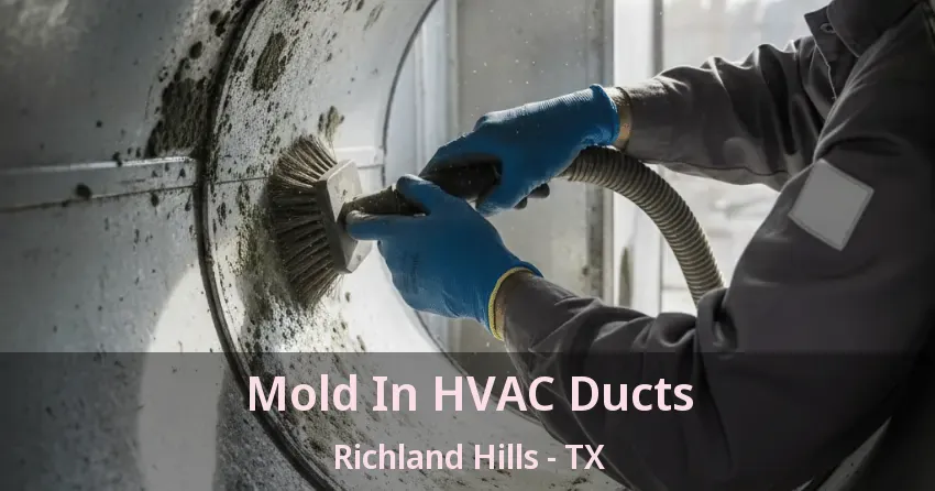 Mold In HVAC Ducts Richland Hills - TX